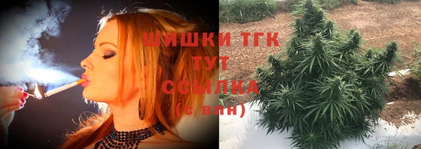 молекула духа Волосово