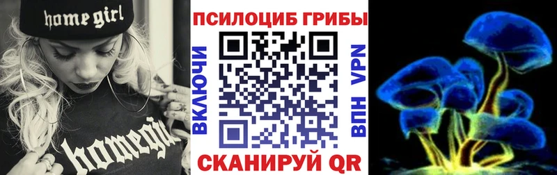 Купить Борзя Галлюциногенные грибы Psilocybine cubensis